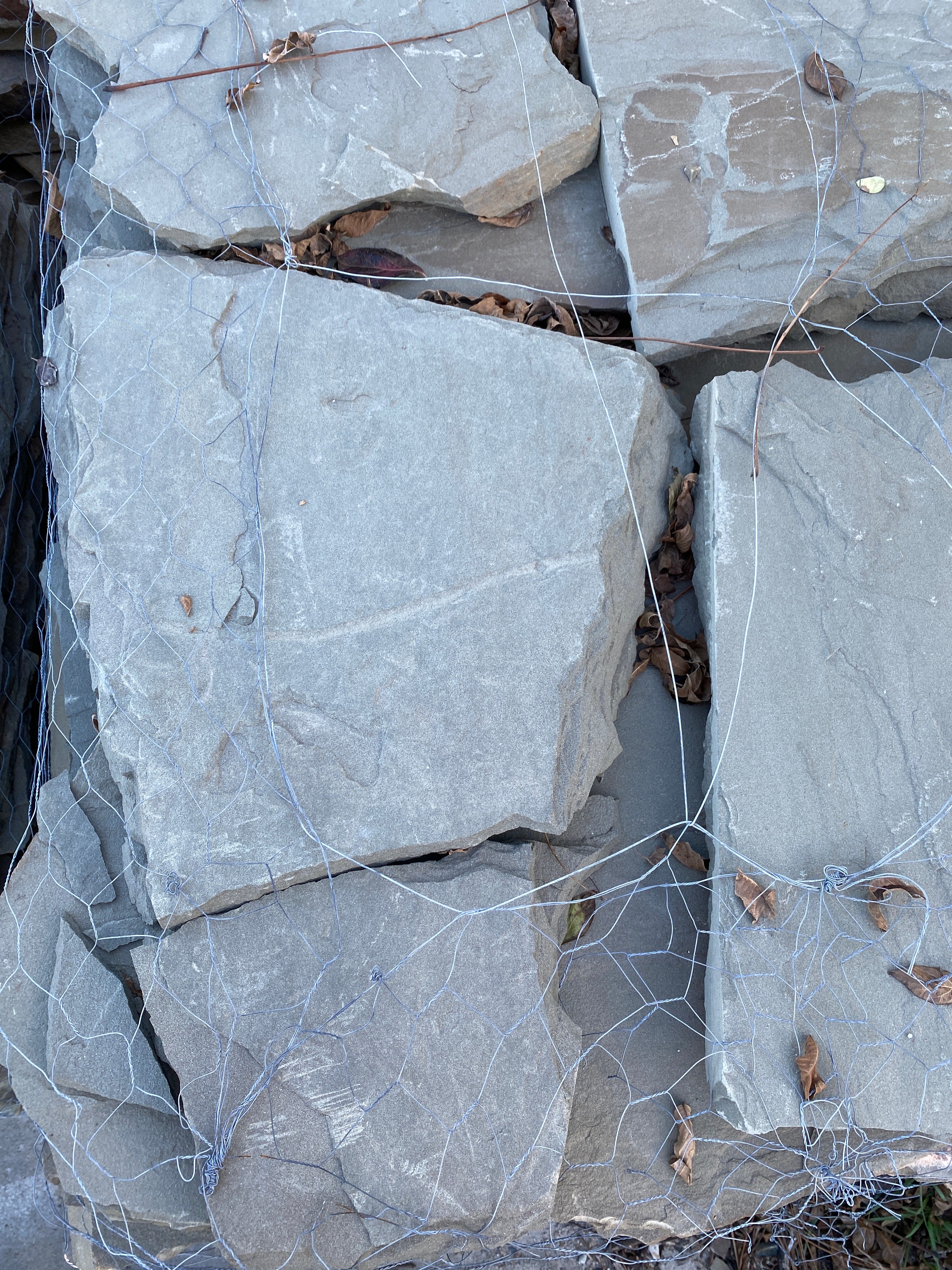 (7241) Blue Stone Steppers per lb - Image 2