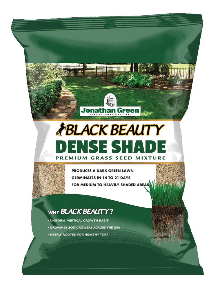 (6014) Black Beauty Dense Shade Grass Seed (per lb)