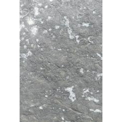 (7521) Glacier Gray Steppers (per lb)