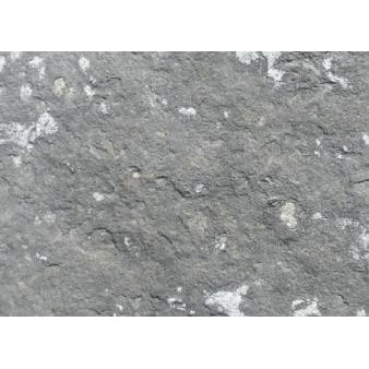 (7521) Glacier Gray Steppers (per lb) - Image 2