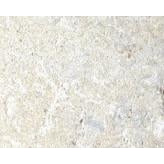 Indiana Tumbled Cut Drywall #7232 Per Lb.